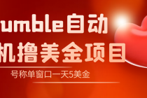 外面收费3888的rumble撸美金项目，号称单窗口一天5美金+【脚本+教程】-副业网