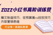 2022小红书高阶训练营：爆文制造技巧，低预算高roi投放技巧，内容营销思维-副业网