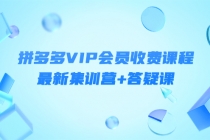 某社群·拼多多VIP会员收费课程，最新集训营+答疑课-价值3299元-副业网