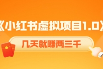 《小红书虚拟项目1.0》账号注册+养号+视频制作+引流+变现，几天就赚两三千-副业网