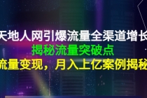 天地人网引爆流量全渠道增长：揭秘流量突然破点，流量变现，月入上亿案例-副业网