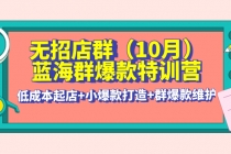 无招店群·蓝海群爆款特训营(10月新课) 低成本起店+小爆款打造+群爆款维护-副业网