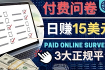 参与付费调查，利用自己的空闲时间完成问卷，适合新手的平台，日赚15美元-副业网