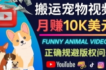 搬运TIKTOK视频到YouTube，并进行二次创作，月赚1万美元以上-副业网