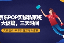 京东POP实操私家班：大促篇，3天时间，实战剖析-从零到百万爆款店铺-副业网