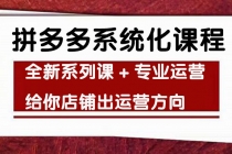 车神陪跑,拼多多系统化课程,全新系列课+专业运营给你店铺出运营方向-副业网