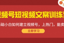 视频号短视频文案训练营：0基础小白如何建立视频号，上热门，能卖货！-副业网