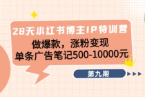 28天小红书博主IP特训营《第9期》做爆款，涨粉变现 单条广告笔记500-10000-副业网