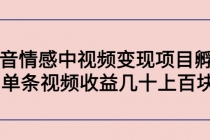 黄岛主副业孵化营第5期：抖音情感中视频变现项目孵化 单条视频收益几十上百-副业网