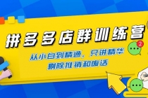 拼多多店群训练营：从小白到精通，只讲精华，剔除推销和废话-副业网