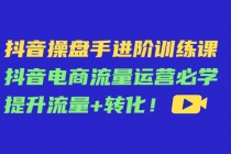 抖音操盘手进阶训练课：抖音电商流量运营必学，提升流量+转化！-副业网