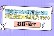 人人都能操作的蓝海多多视频带货项目 小白无脑搬运月入10000+-副业网