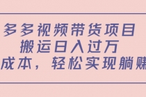 多多视频带货项目，搬运日入过万，0成本，轻松实现躺赚-副业网