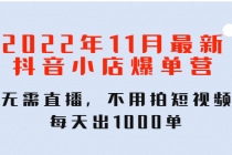 2022年11月最新抖音小店爆单训练营：无需直播，不用拍短视频，每天出1000单-副业网