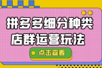 拼多多细分种类店群运营玩法3.0，11月最新玩法，小白也可以操作-副业网