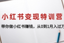 小红书变现特训营：带你做小红书赚钱，从0到1月入过万-副业网