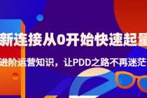 新连接从0开始快速起量：进阶运营知识，让PDD之路不再迷茫！-副业网