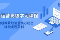 淘宝运营高级学习课程：快速获取流量核心秘密，轻松实现盈利！-副业网