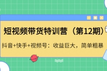 短视频带货特训营抖音+快手+视频号：收益巨大，简单粗暴！-副业网