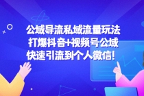 公域导流私域流量玩法：打爆抖音+视频号公域，快速引流到个人微信！-副业网
