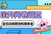 外面收费1998的国外问卷挂机答题项目 号称单窗口一天10美金(永久脚本+教程)-副业网