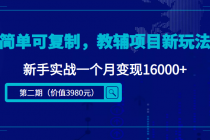 简单可复制，教辅项目新玩法，新手实战一个月变现16000+（第2期+课程+资料)-副业网