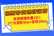 20天视频号变现特训营：单视频播放量2亿+3个月涨粉30w+变现20w+-副业网