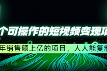 五个可操作的短视频变现项目：年销售额上亿的项目，人人能复制-副业网