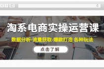 淘系电商实操运营课：数据分析-流量获取-爆款打造 各种玩法-副业网