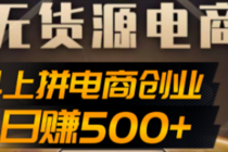 抖上拼无货源电商创业项目、外面收费12800，日赚500+的案例解析参考-副业网
