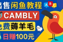 闲鱼赚钱小技巧，每单净赚10元，日赚100元 - 出售Cambly注册教程-副业网