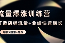 流量爆涨训练营：打造店铺流量+业绩快速增长 (爆款+搜索+推荐)-副业网