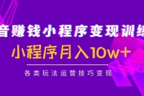 抖音赚钱小程序变现训练营：小程序月入10w+各类玩法运营技巧变现-副业网