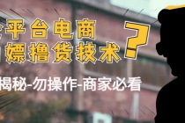 外面收费2980的全平台电商白嫖撸货技术-副业网