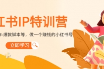 小红书IP特训营：从搭建-制作-爆款脚本等等，做一个赚钱的小红书号-副业网
