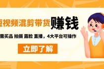 短视频带货赚钱混剪特训营：无需囤货发货 拍摄 露脸 直播，4大平台可操作-副业网