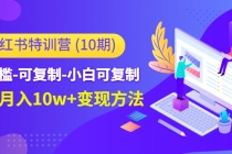 小红书特训营低门槛-可复制-小白可复制-独家月入10w+变现方法-副业网