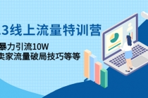 2023线上流量特训营：包含暴力引流10W+中小卖家流量破局技巧等等-副业网