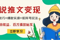 小说推文训练营：引流技巧+爆款实操+矩阵号玩法，百倍效益、百万播放秘笈-副业网
