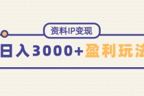 资料IP变现，能稳定日赚3000起的持续性盈利玩法-副业网