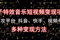 《粒子特效音乐短视频变现项目》主攻平台 抖音、快手、视频号 多种变现方法-副业网