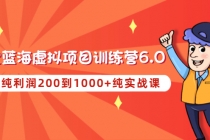 黄岛主《淘宝蓝海虚拟项目陪跑训练营6.0》每天纯利润200到1000+纯实战课-副业网
