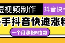 短视频油管动画-快手抖音快速涨粉：一个月粉丝突破6位数  轻松实现经济自由-副业网