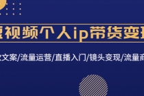 短视频个人ip带货变现：爆款文案/流量运营/直播入门/镜头变现/流量商业-副业网