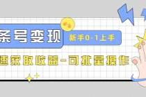 2023头条号实操变现课：新手0-1轻松上手，快速获取收益-可批量操作-副业网