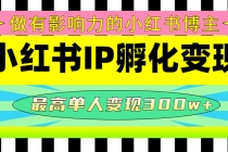某收费培训-小红书IP孵化变现：做有影响力的小红书博主，最高单人变现300w+-副业网