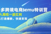 拼多多跨境电商temu特训营：先入局吃一波红利，从0到1打造爆款，快速变现-副业网