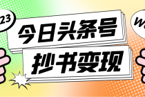 外面收费588的最新头条号软件自动抄书变现玩法，单号一天100+-副业网