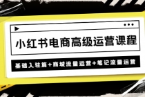 小红书电商高级运营课程：基础入驻篇+商城流量运营+笔记流量运营-副业网