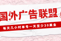 外面收费1980最新国外LEAD广告联盟搬砖项目，单号一天至少30美金(详细教程)-副业网